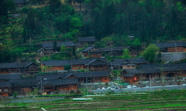 夹金山在哪 景色如何，长征中的夹金山在哪儿图5