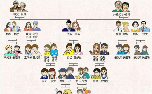 外亲内疏的含义，里表亲和外表亲怎么区分图4