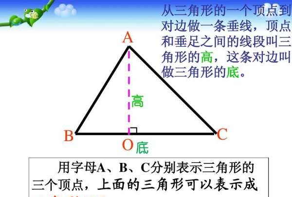 三角形的高等于什么公式图3