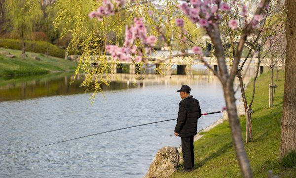 钓鱼中，什么是拉饵图2