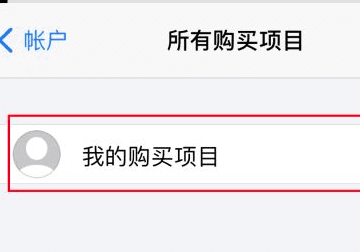 苹果手机已购项目在哪里，苹果手机app已购项目怎么删除不了图4