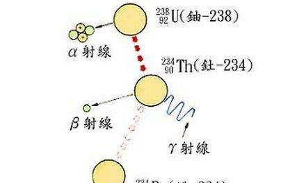 力的作用有什么特点，鱼粉的作用和四大特点图9