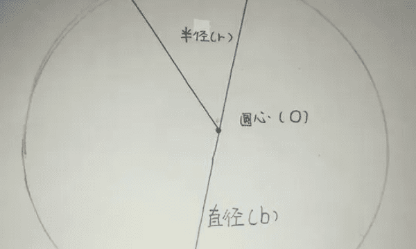 圆形是由什么线围成的，圆是由一条什么曲线围成的平面图形一年级图3