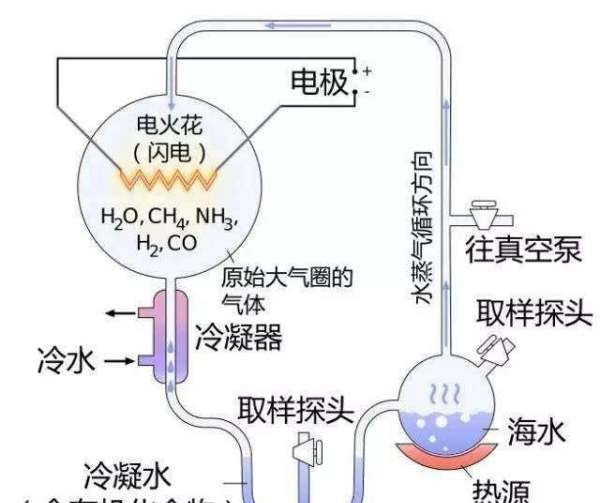 第一个细胞怎么产生的，第一个细胞是从哪里来的图2