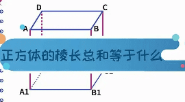 正方形的棱长总和怎么图4