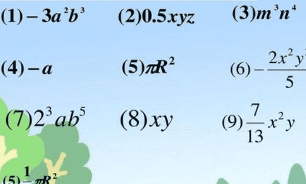 什么叫单项式的次数，什么叫做单项式的次数什么叫做多项式的次数图2