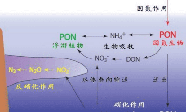 生物体内含氮物质以什么为主，动植物体内一切含氮物质总称为什么图1