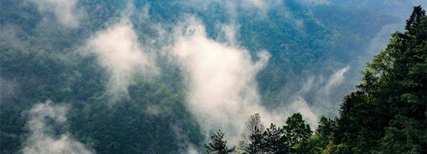 大别山是哪一个县，大别山是哪个县的图3