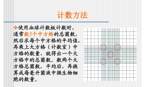 样方法适用于哪些生物，动物的种群调查方法有哪几种类型图2