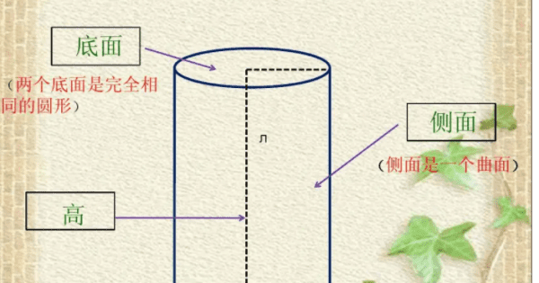 圆柱两个底面之间的什么叫做高图1