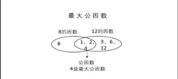 98共有几个因数，98的因数有哪些数字组成的图2