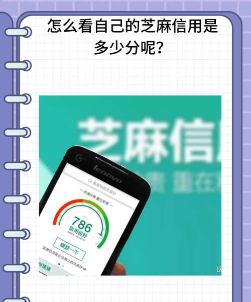 支付宝信用分怎么看，支付宝的芝麻信用怎么查看