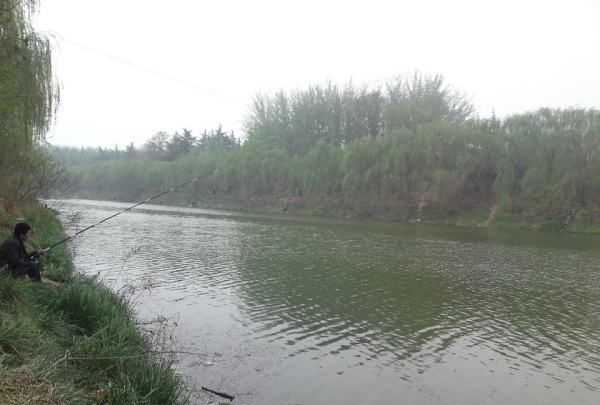 荣成天鹅湖在哪里，荣成天鹅湖生态旅游区怎么样图2