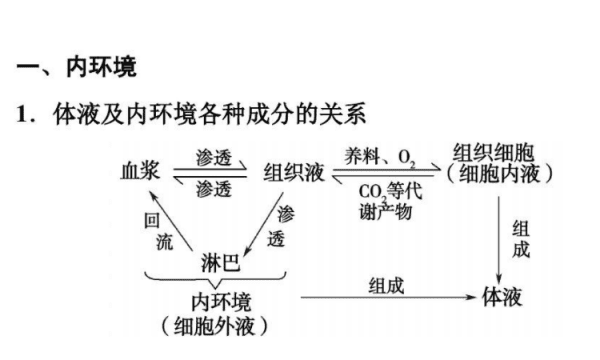 机体中细胞生活的内环境是指，机体中细胞生活的内环境是指什么图1