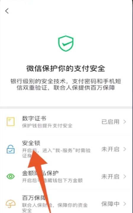 微信钱包怎么设置密码锁，微信怎么设置密码不让人看零钱图13