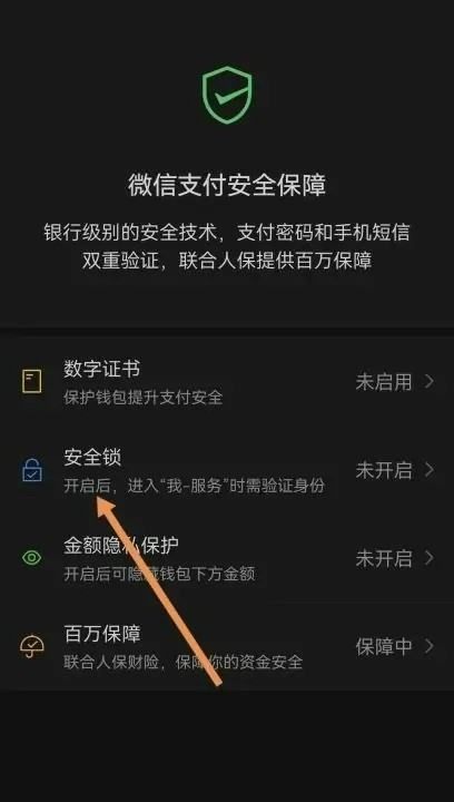 微信钱包怎么设置密码锁，微信怎么设置密码不让人看零钱图18