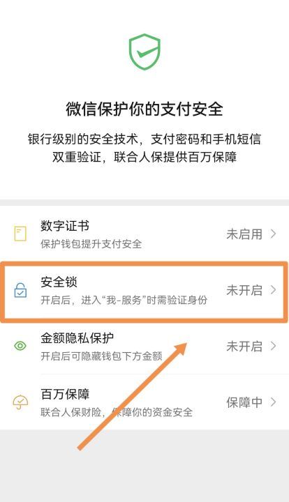 微信钱包怎么设置密码锁，微信怎么设置密码不让人看零钱图26