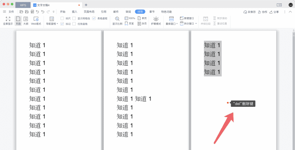 怎么删除一页，Word怎么删除文字图5