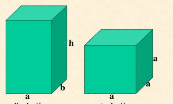 正方体棱长是什么，正方体的棱长是什么图2