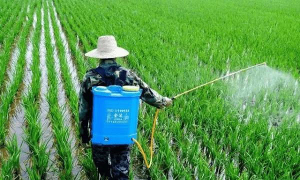 芽前除草剂使用技巧，怎样正确使用除草剂和储存除草剂的方法图1