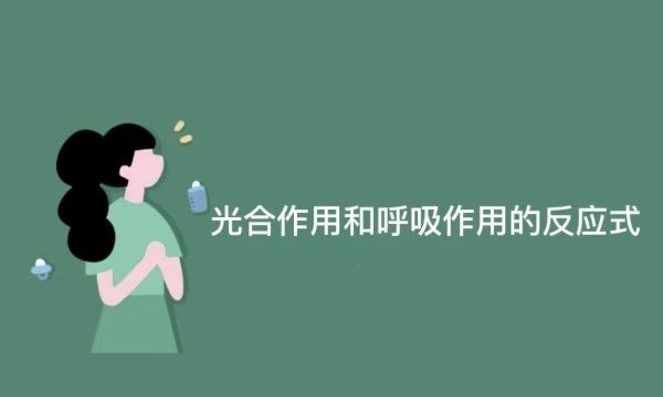 呼吸作用公式，光合作用和呼吸作用的公式图3