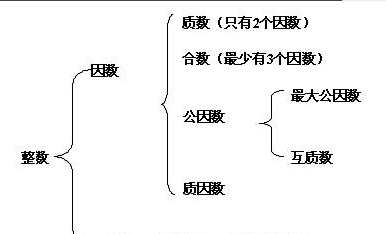 一个数的因数的个数是多少，每个因数的个数是否完全相同图4