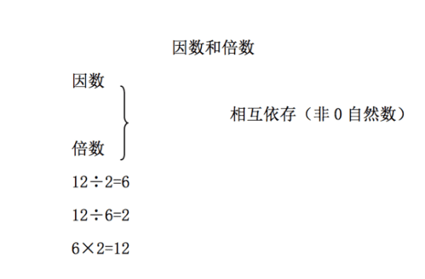 一个数的因数的个数是多少，每个因数的个数是否完全相同图5