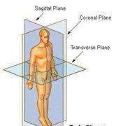 矢状面冠状面水平面分别是什么图6