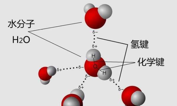 化学键分为哪三种，化学键可分为哪三种基本类型图2