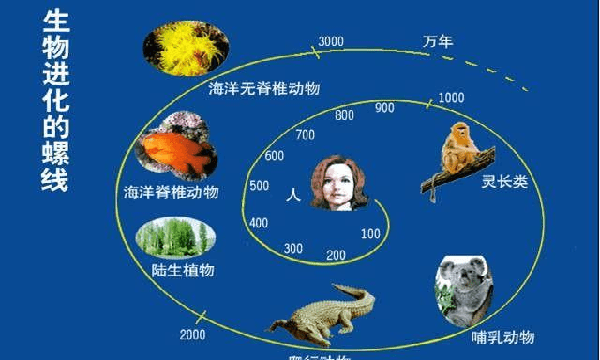 生物进化的根本原因是什么，促进生物进化的原因是遗传