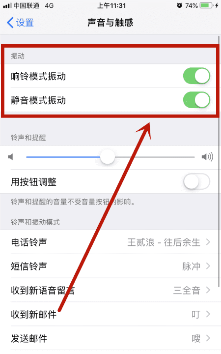 ios2有去电接通震动，苹果手机接通电话震动怎么设置图3