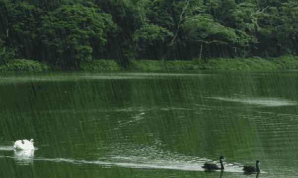 关于下雨的城市的句子，冬天下雨伤感的句子说说心情图2