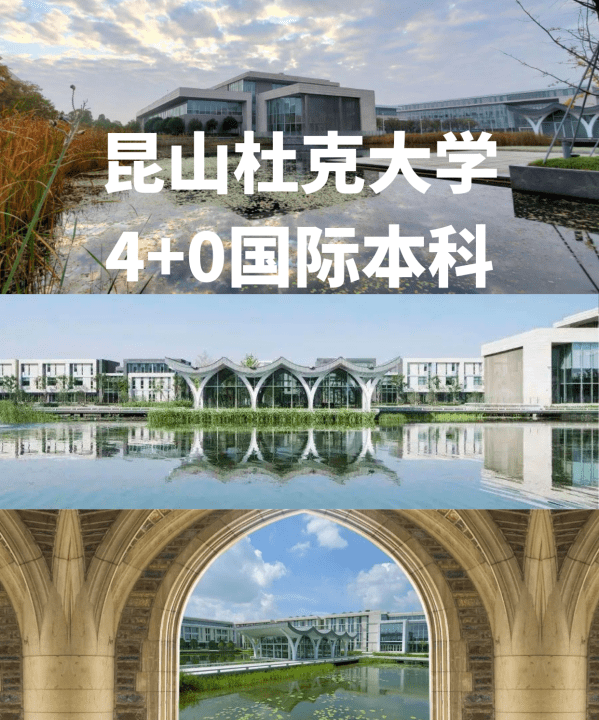 昆山杜克大学是几本，昆山杜克大学是一本大学吗图3