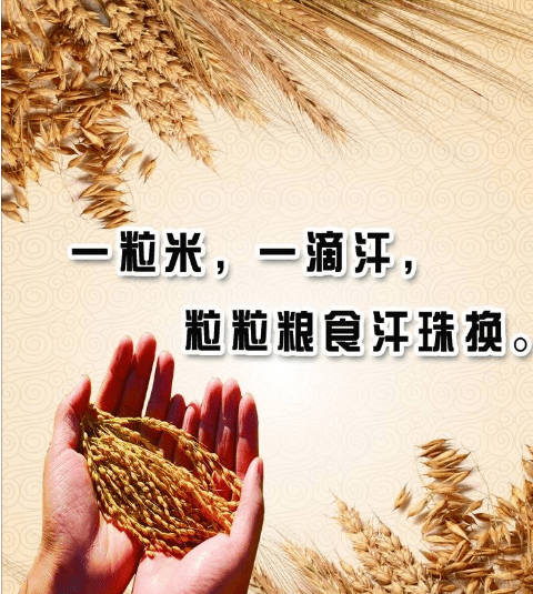 节约粮食的的名言，节约粮食名言警句小学生图4