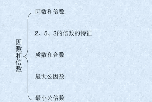 35的因数是什么，三十五的因数有哪些