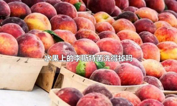 李斯特菌水果怎么清洗，开水烫过的水果会有李斯特菌吗图1