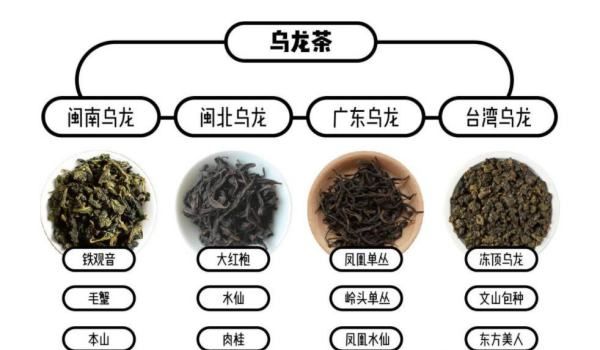 青茶和绿茶的区别，绿茶和清茶的区别是什么图2