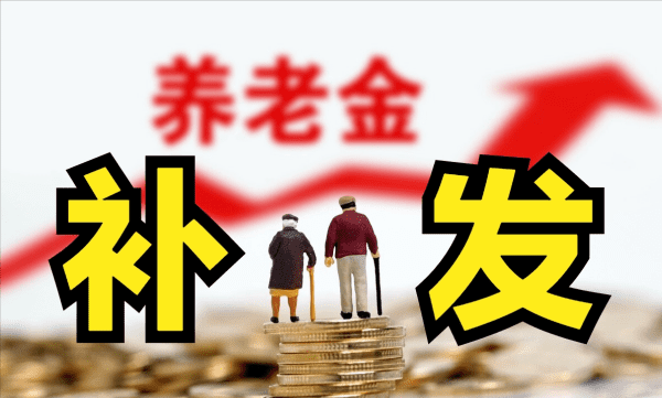 个人养老金账户余额怎么查，怎么查养老金个人账户余额图4