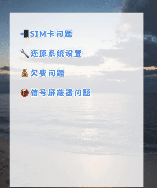 苹果xmax无服务怎么解决，苹果经常无服务什么情况图16