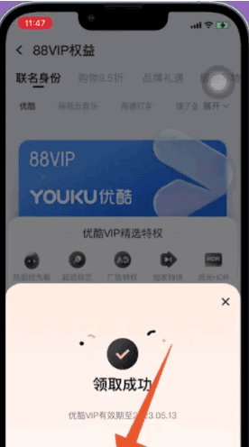 怎么登陆88VIP优酷，开通88会员怎么没有优酷会员图5