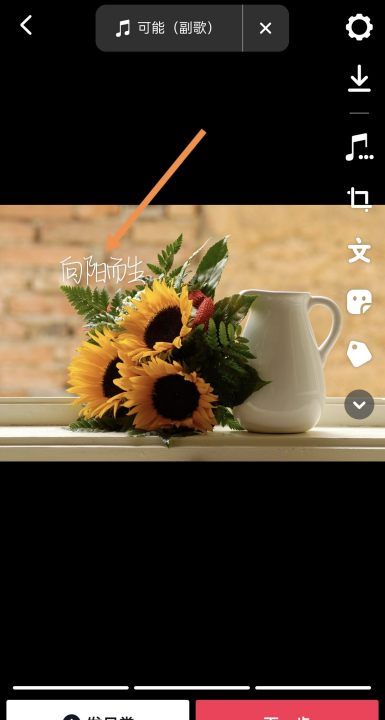 抖音如何加文字，怎样在抖音里加文字内容图17