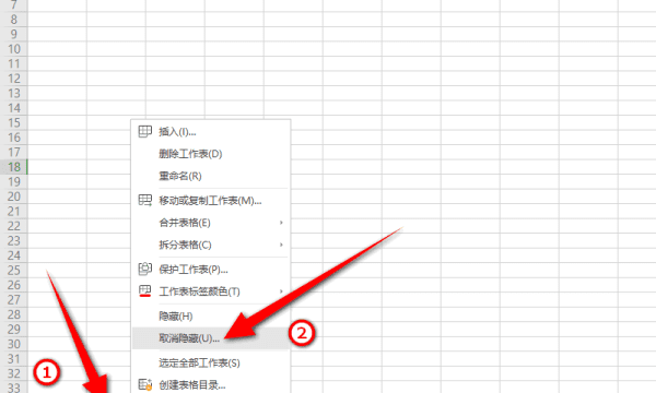 单元格隐藏了怎么恢复，excel表格中隐藏的行怎么显示出来图5