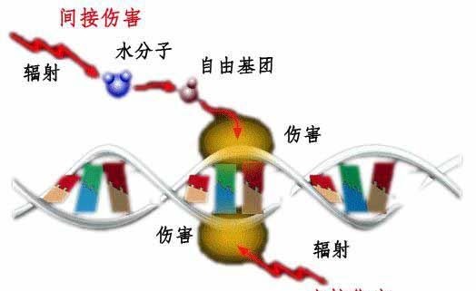 盐类水解为什么促进水的电离图1