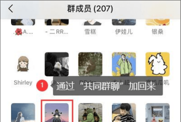 怎么找回删除的微信好友，vivo微信删除的好友如何找回来图4