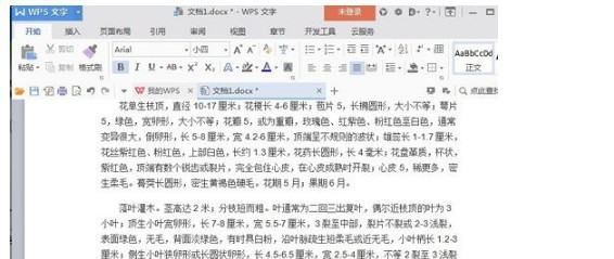 word空白页怎么删除，文档中的空白页怎么删除图4