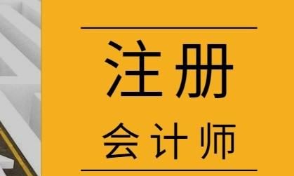 注册会计师综合阶段考试考什么，注册会计师考试的综合阶段考什么图2