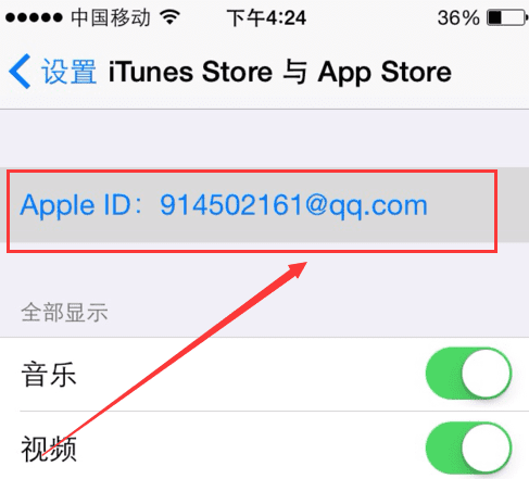 苹果手机iphone 的iforgot在哪里图3