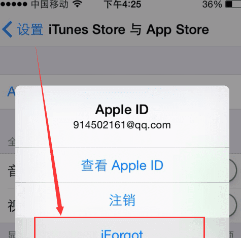 苹果手机iphone 的iforgot在哪里图4