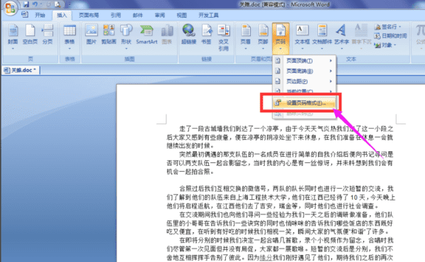 Word2007设置页码，word怎么添加页码图4