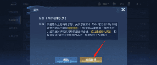 王者荣耀举报名字是匿名的吗，王者荣耀举报名字会显示举报人图4